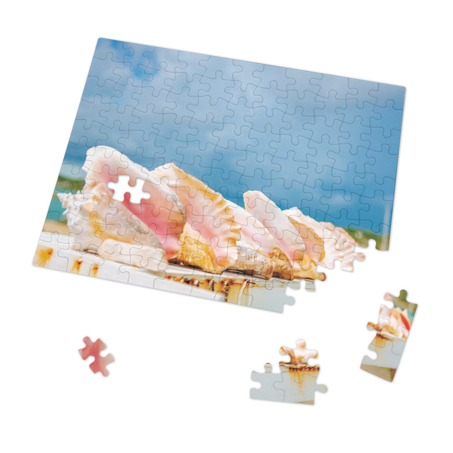 Queen Conch Tin Puzzle