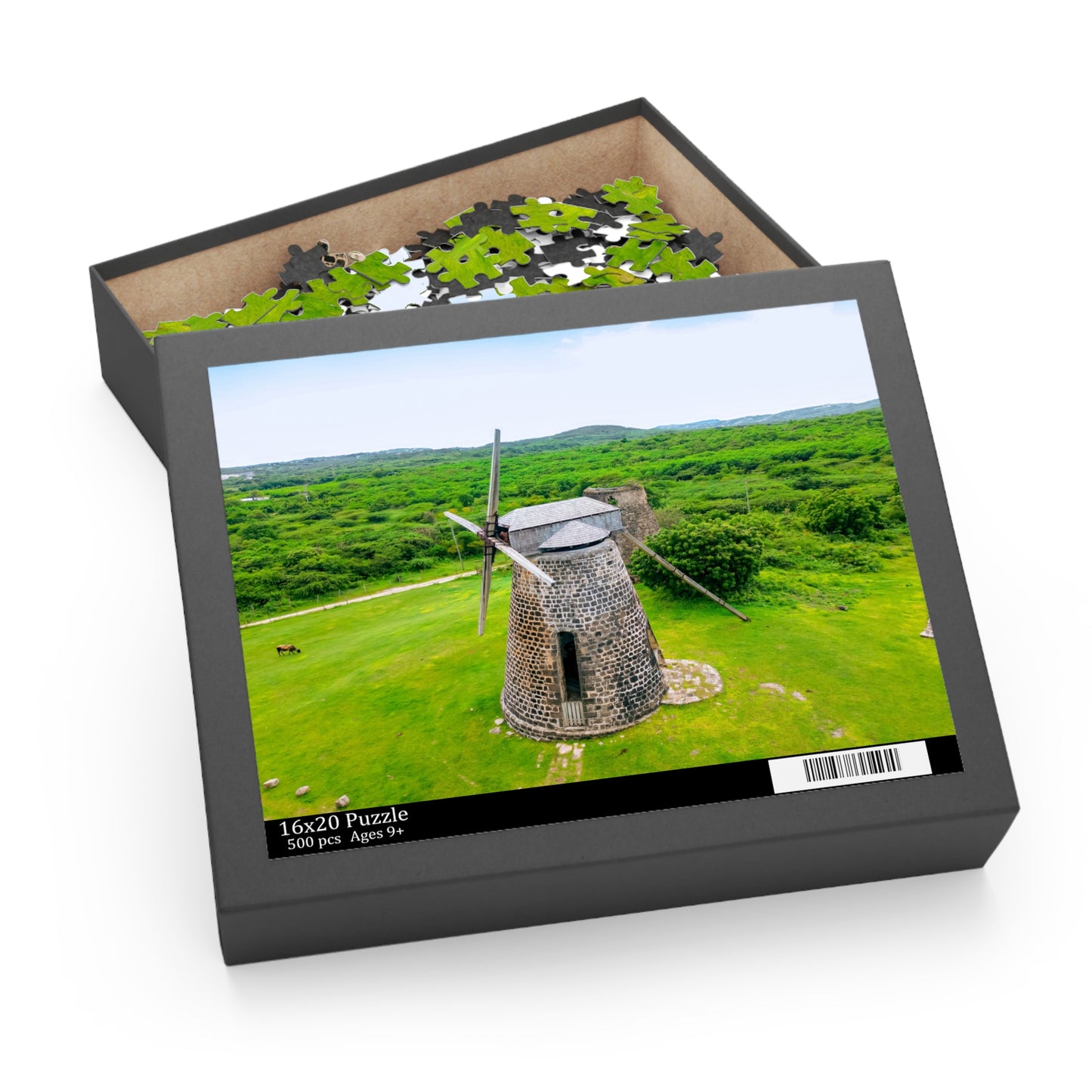 Betty's Hope Windmill Puzzle – Antigua & Barbuda