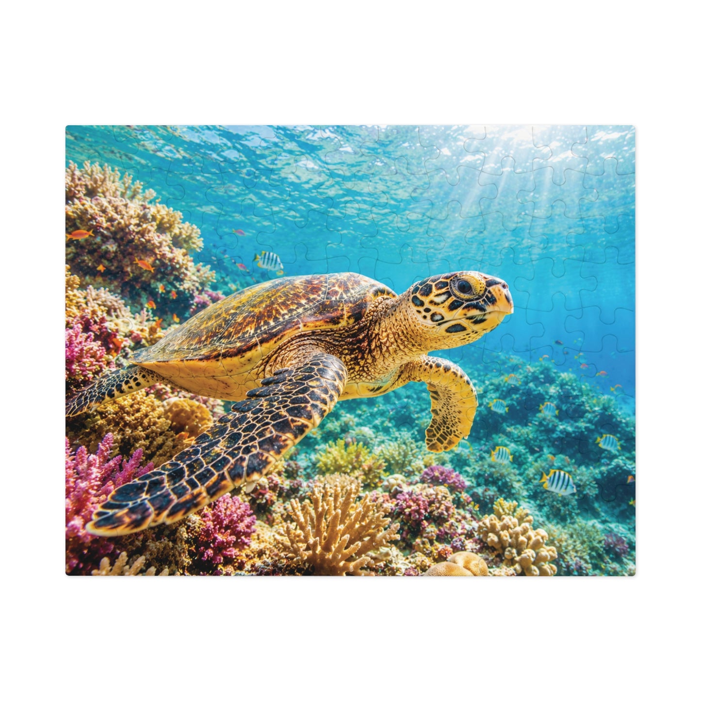 Reef Wanderer Tin Puzzle