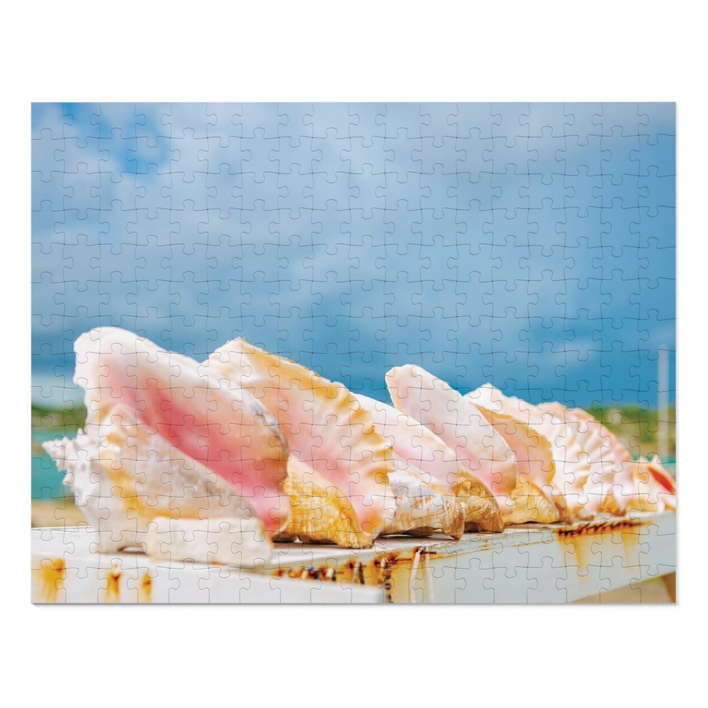 Queen Conch Tin Puzzle