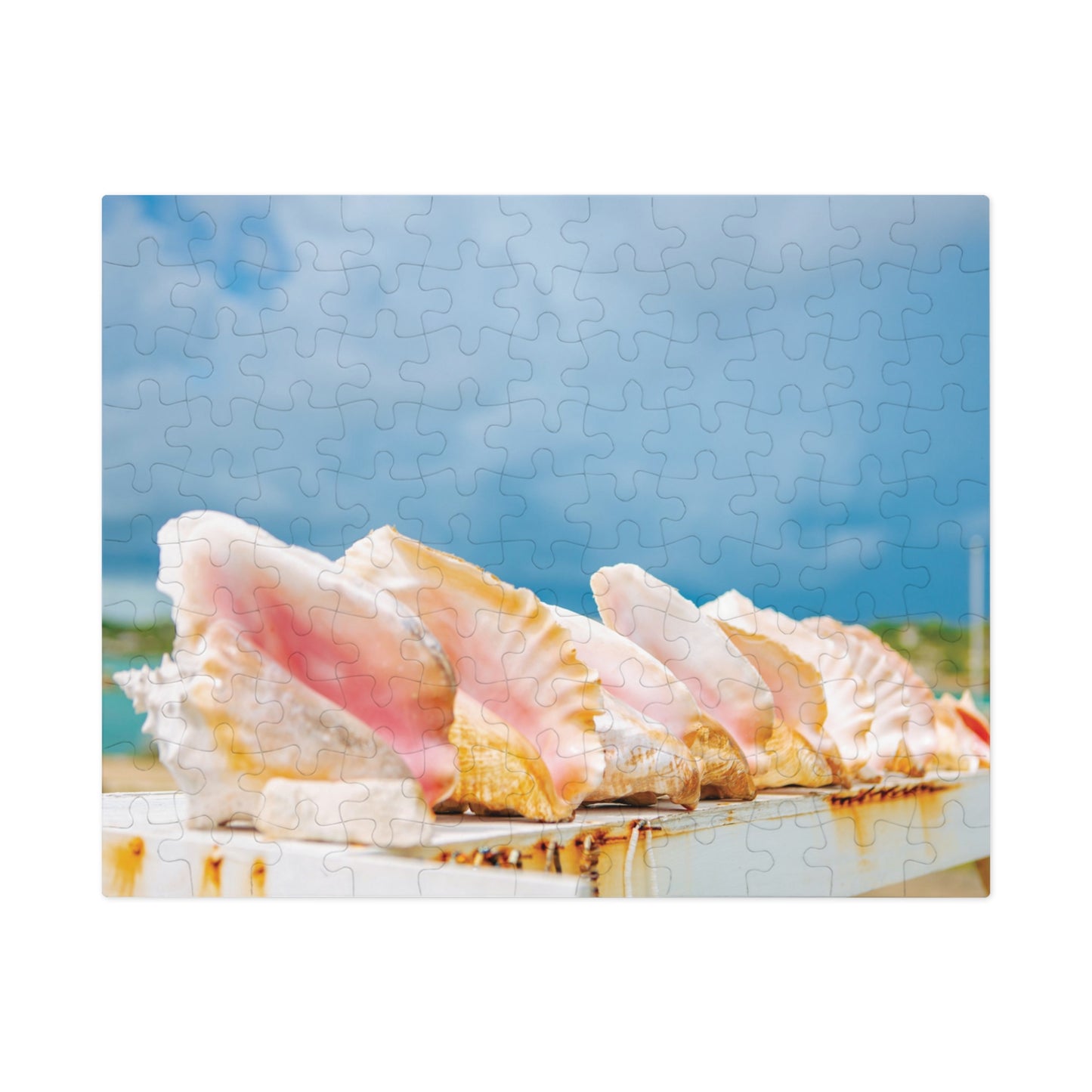 Queen Conch Tin Puzzle