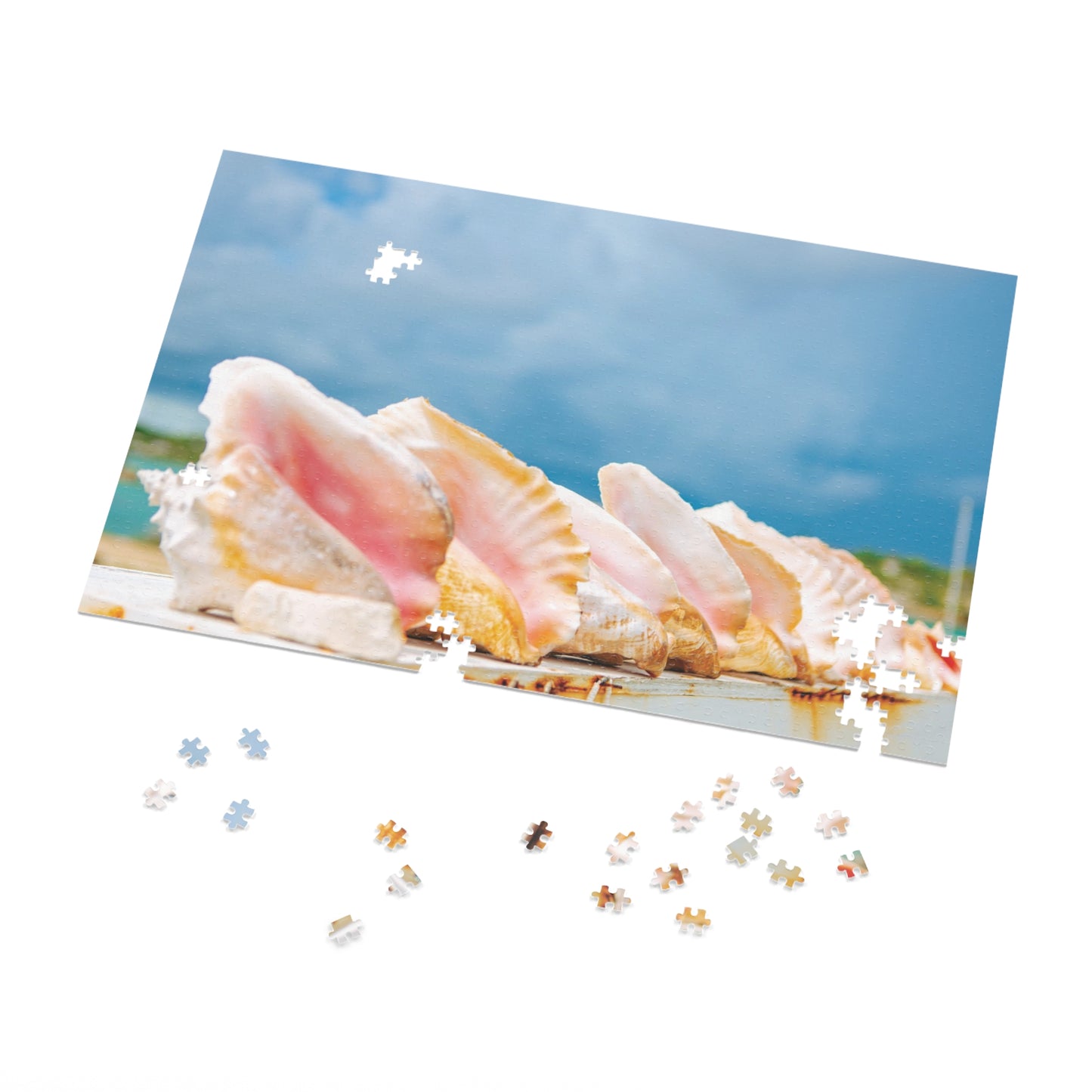Queen Conch Tin Puzzle