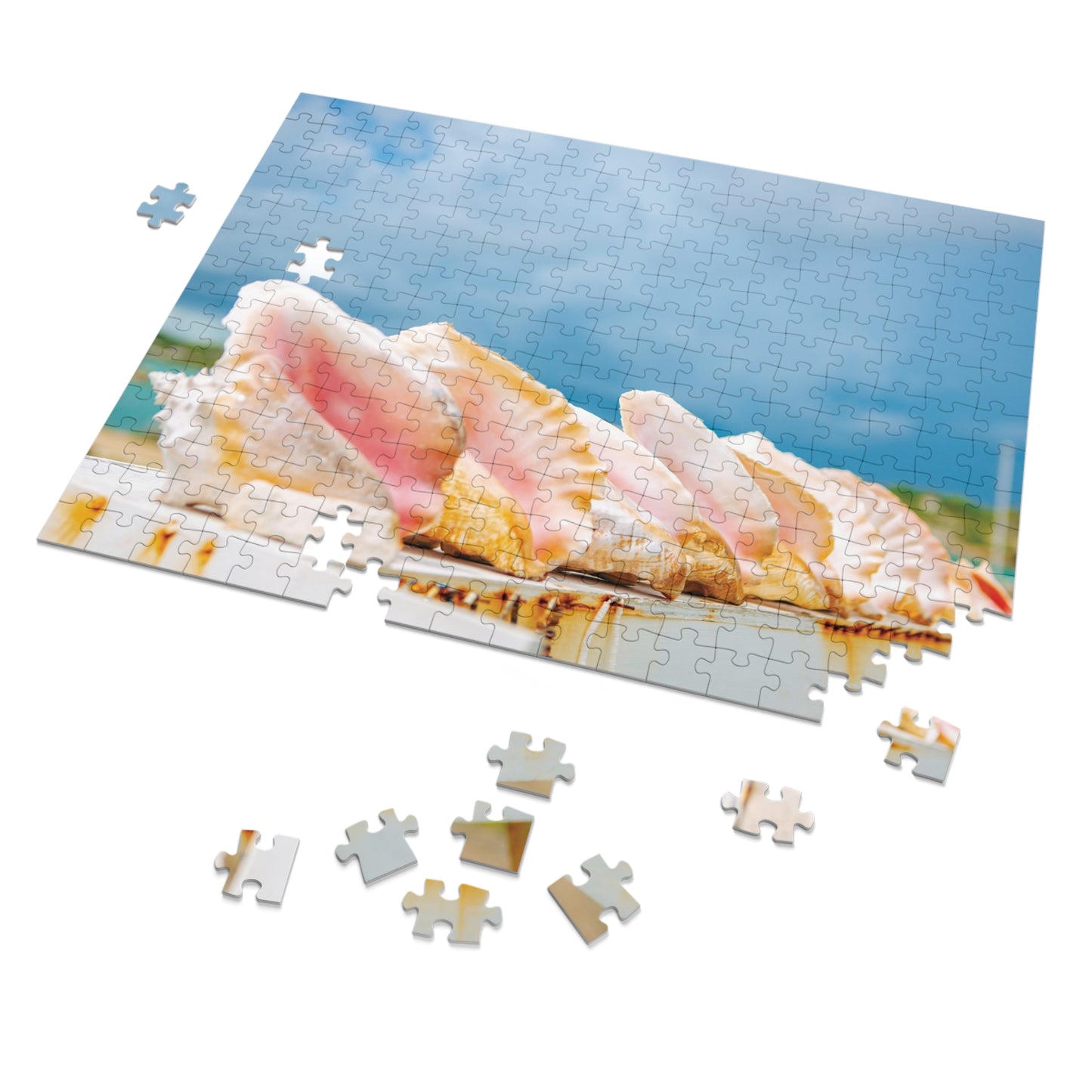 Queen Conch Tin Puzzle