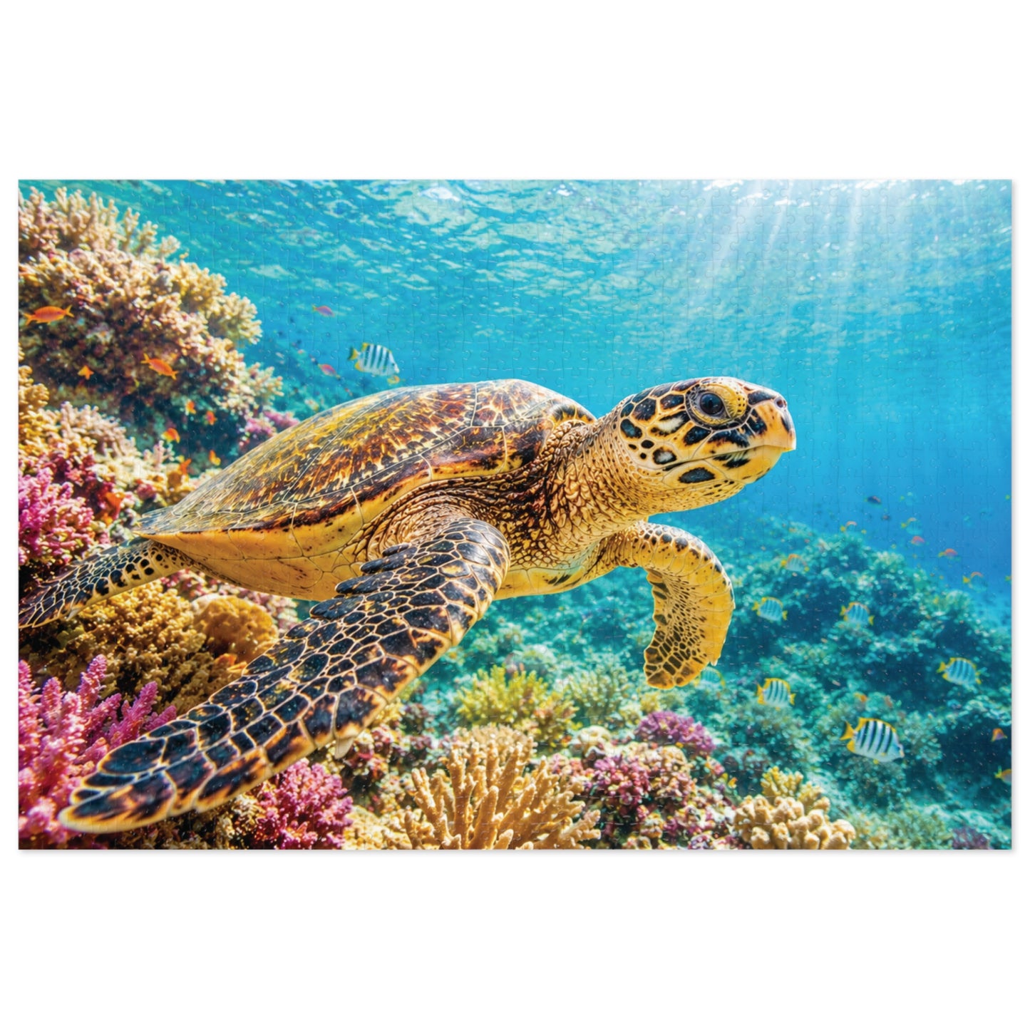 Reef Wanderer Tin Puzzle