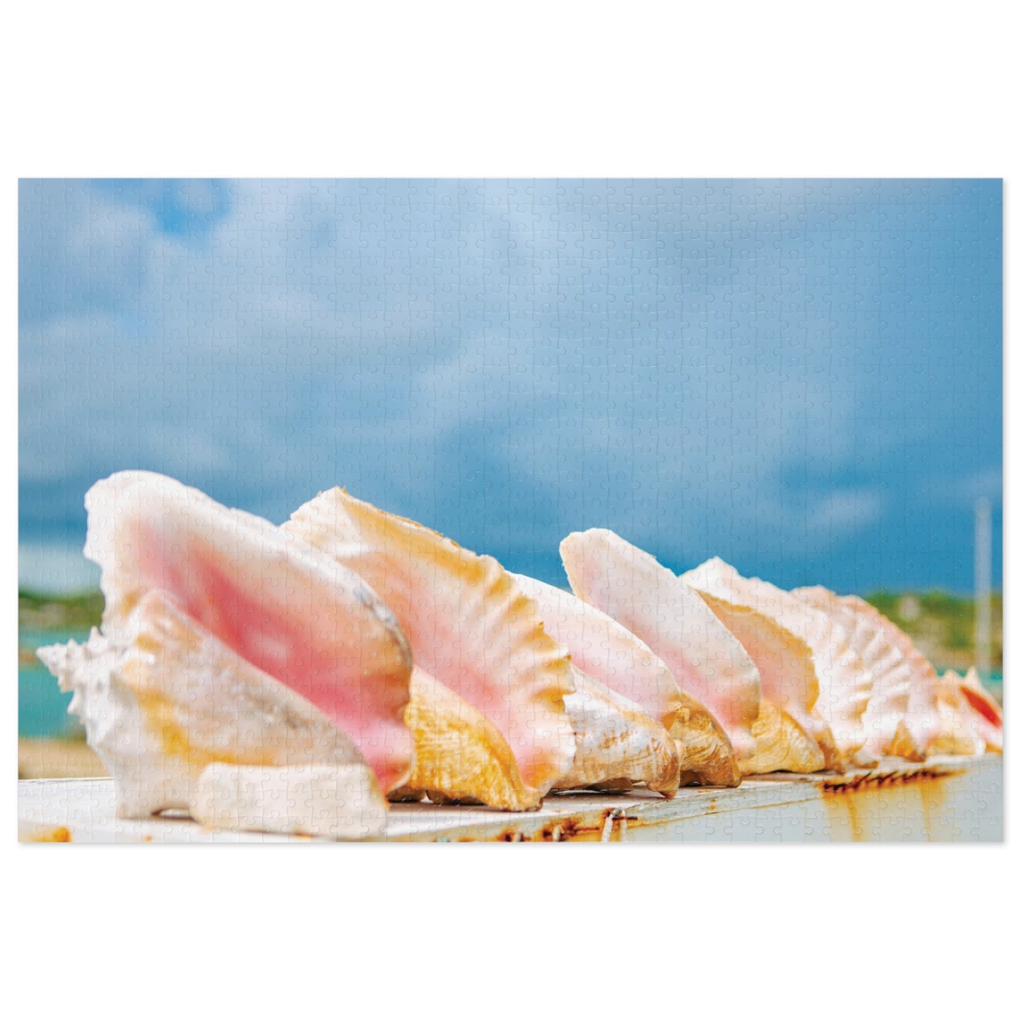Queen Conch Tin Puzzle