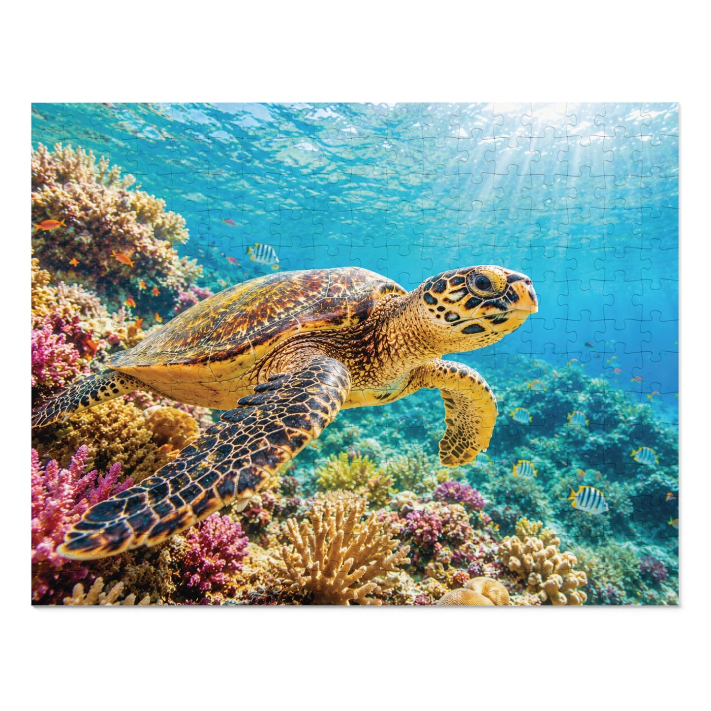 Reef Wanderer Tin Puzzle