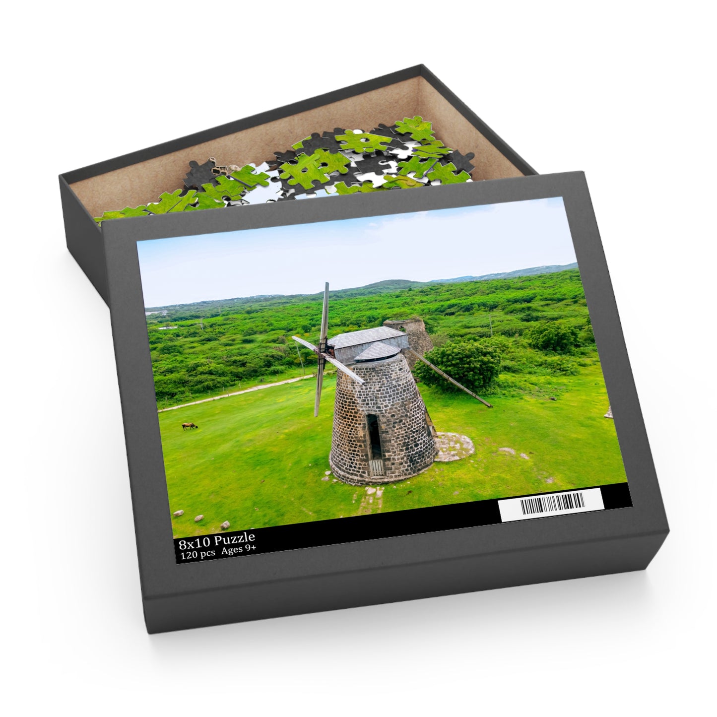 Betty's Hope Windmill Puzzle – Antigua & Barbuda